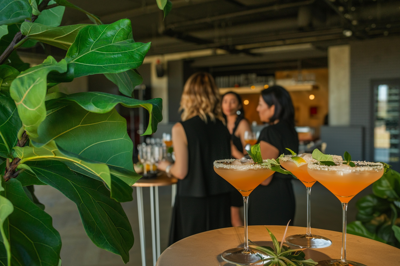 Stage im PLICANA in Kronau mut Cocktails, grüner Pflanze und Frauen